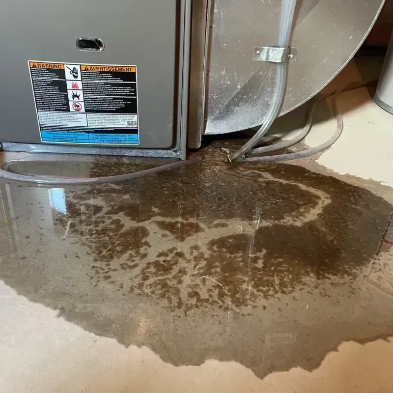 Appliance Leak Cleanup in Pottawatomie County, KS